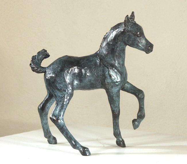 poulain pur-sang arabe