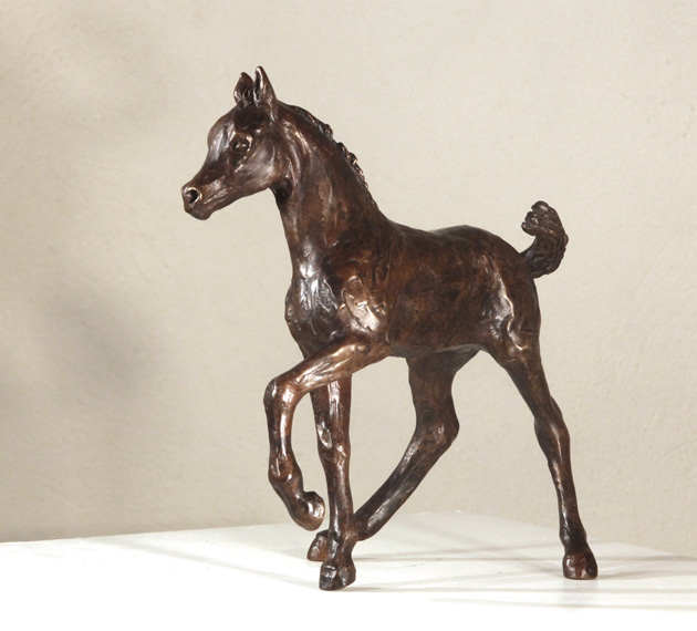 poulain pur-sang arabe