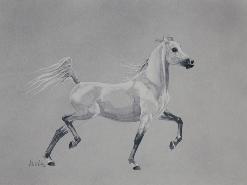 tableau pur-sang arabe