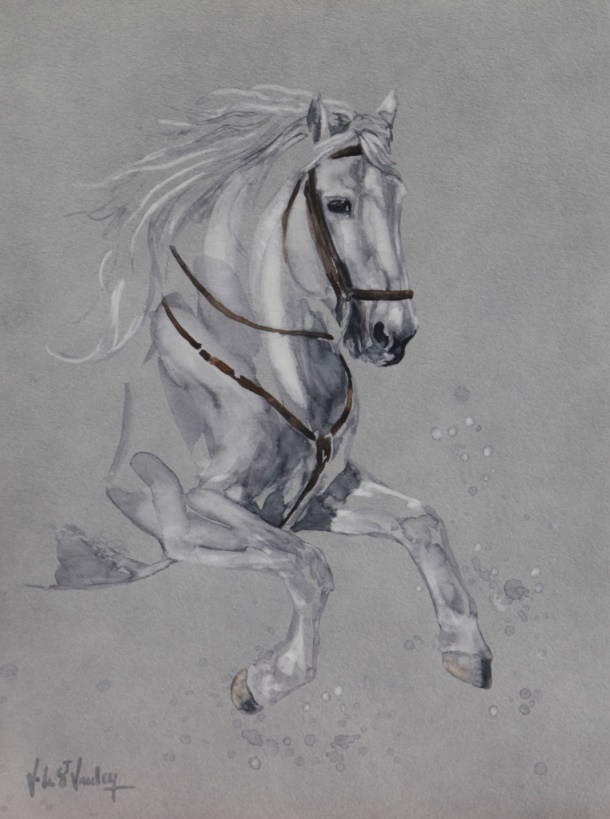 Aquarelle cheval camargue