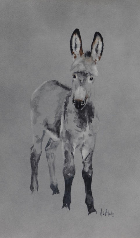 aquarelle �non cotentin