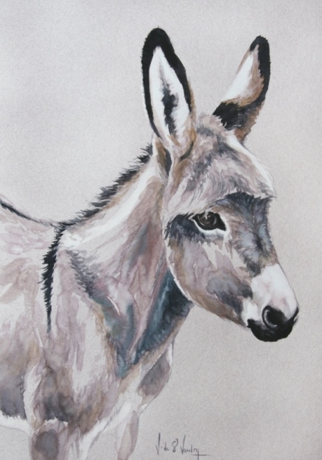 aquarelle �non de provence