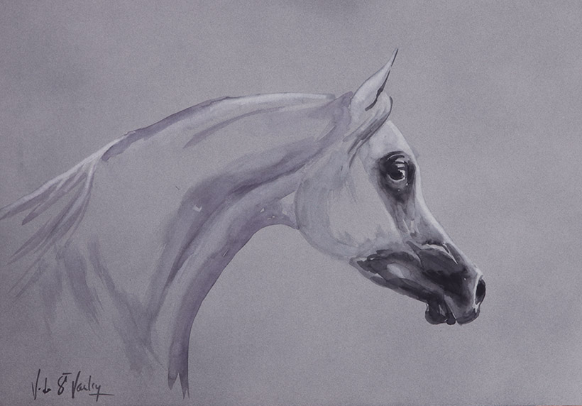 Aquarelle t�te arabe 