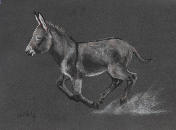 pastel �non au galop