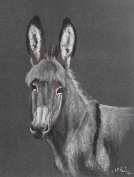 pastel �non de Provence