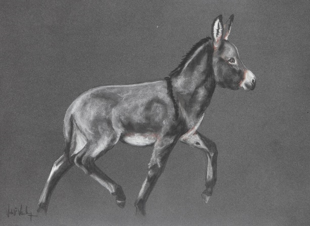 pastel �non au trot